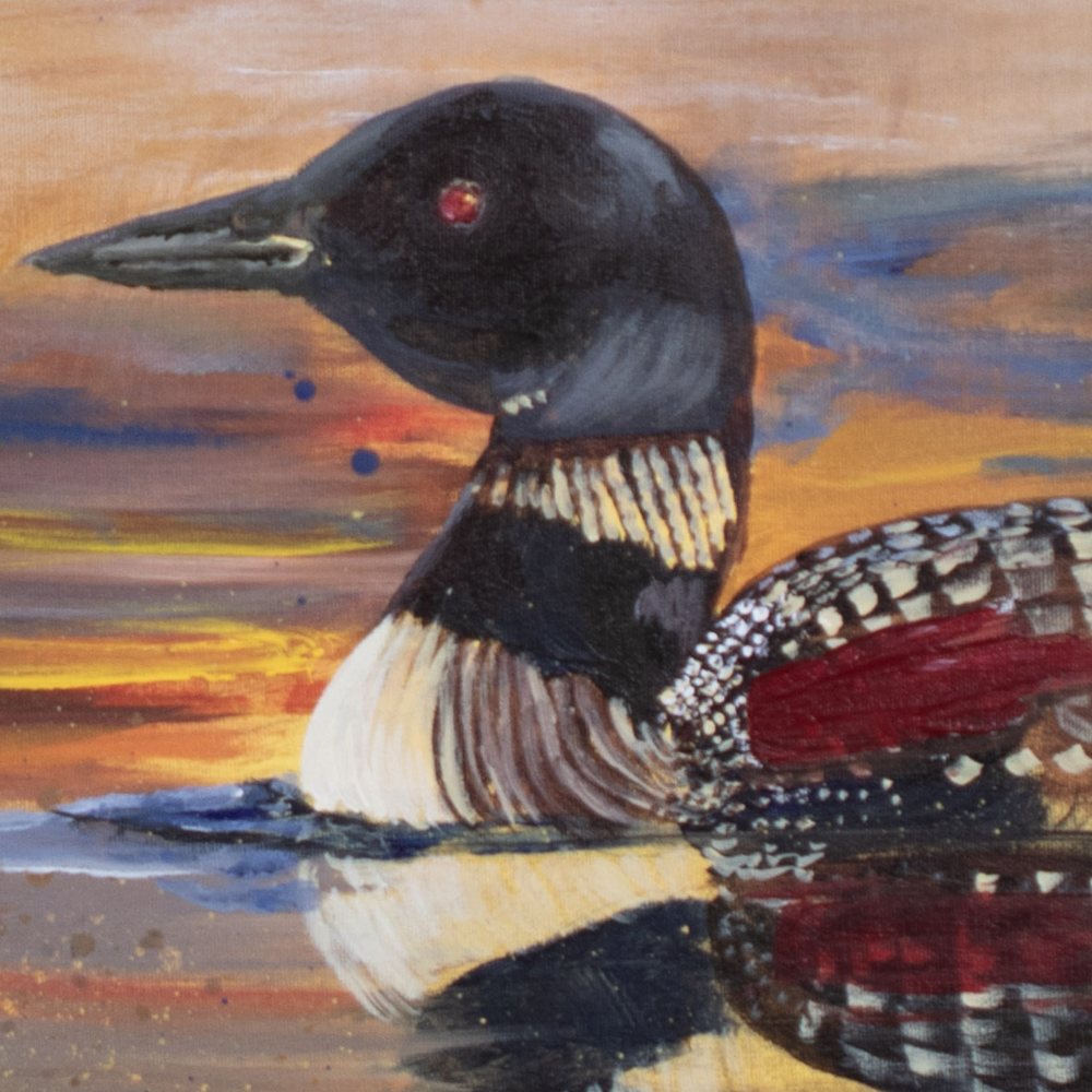 Painted Loon — Canvas print - Image 2