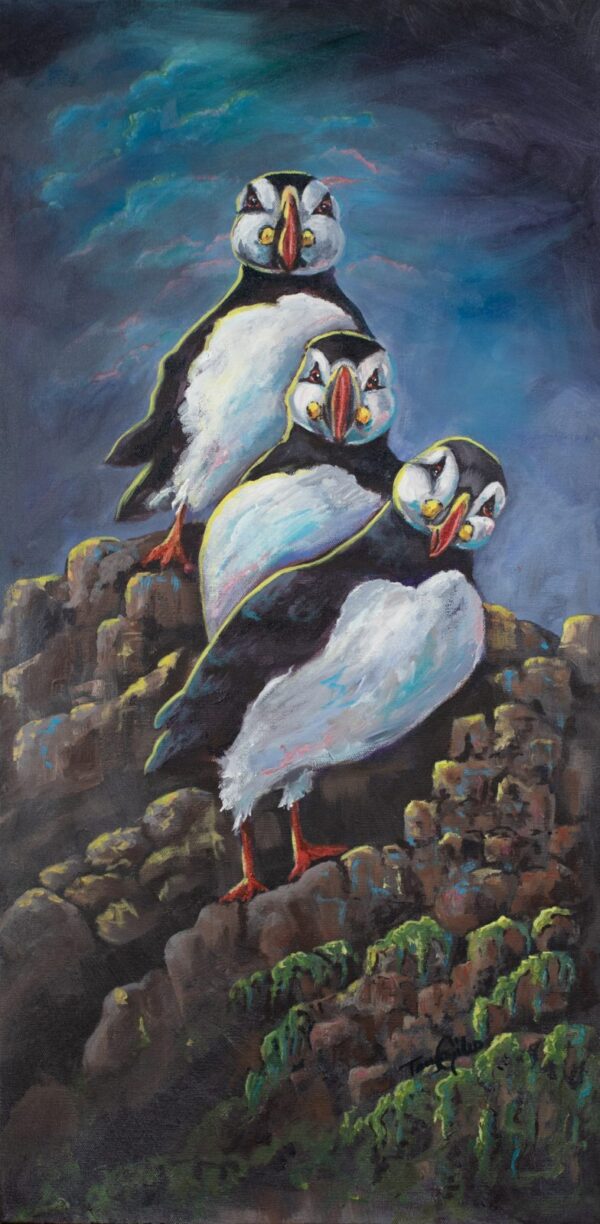 Puffins — Canvas print